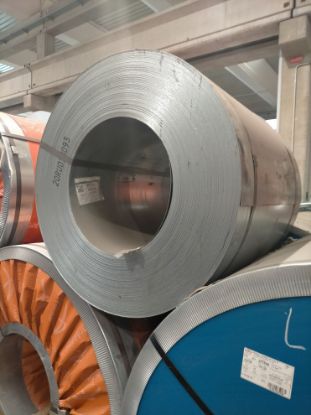 Immagine di 2006507088